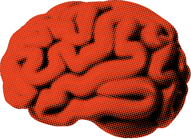 Illustration of a brain