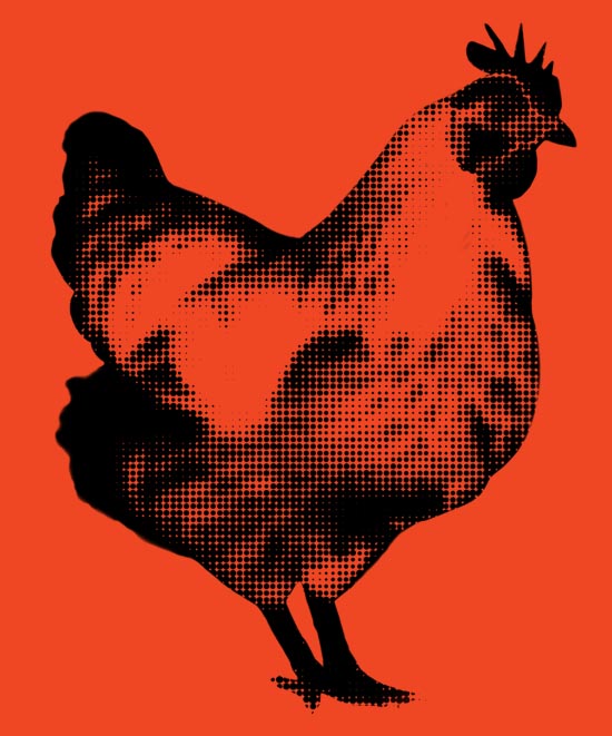 Illustration of a chicken