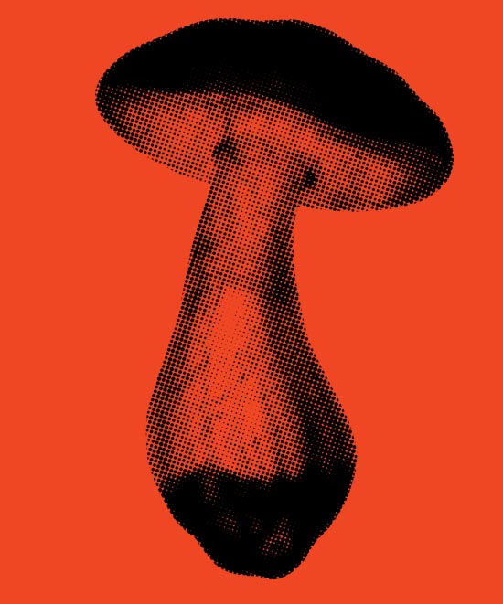Illustration of a mushroom